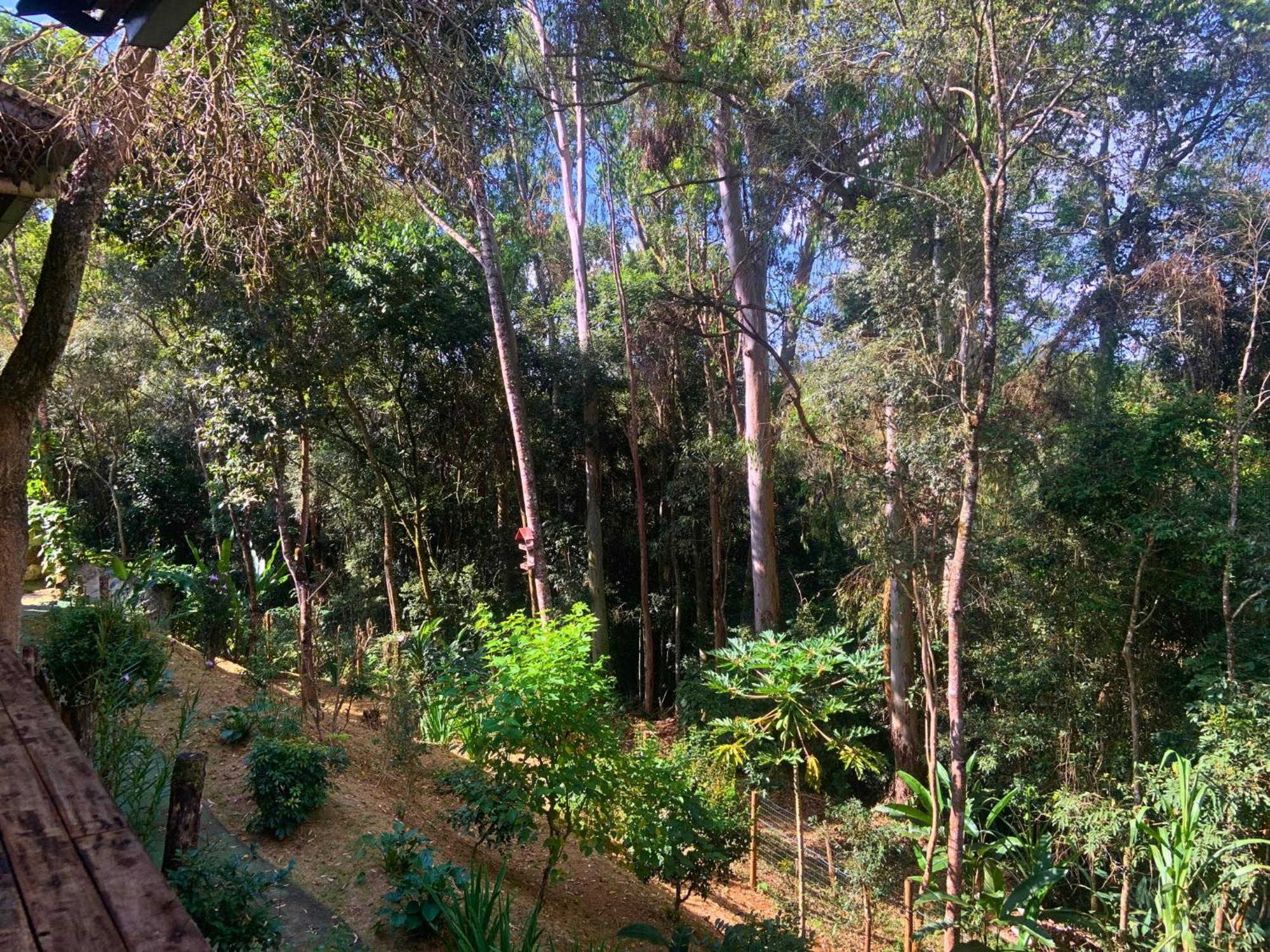 Pousada E Restaurante Casinha Velha Hotel Macacos  Luaran gambar